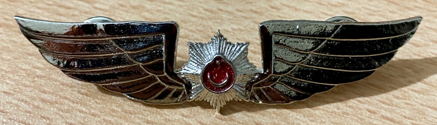 Police Pilot