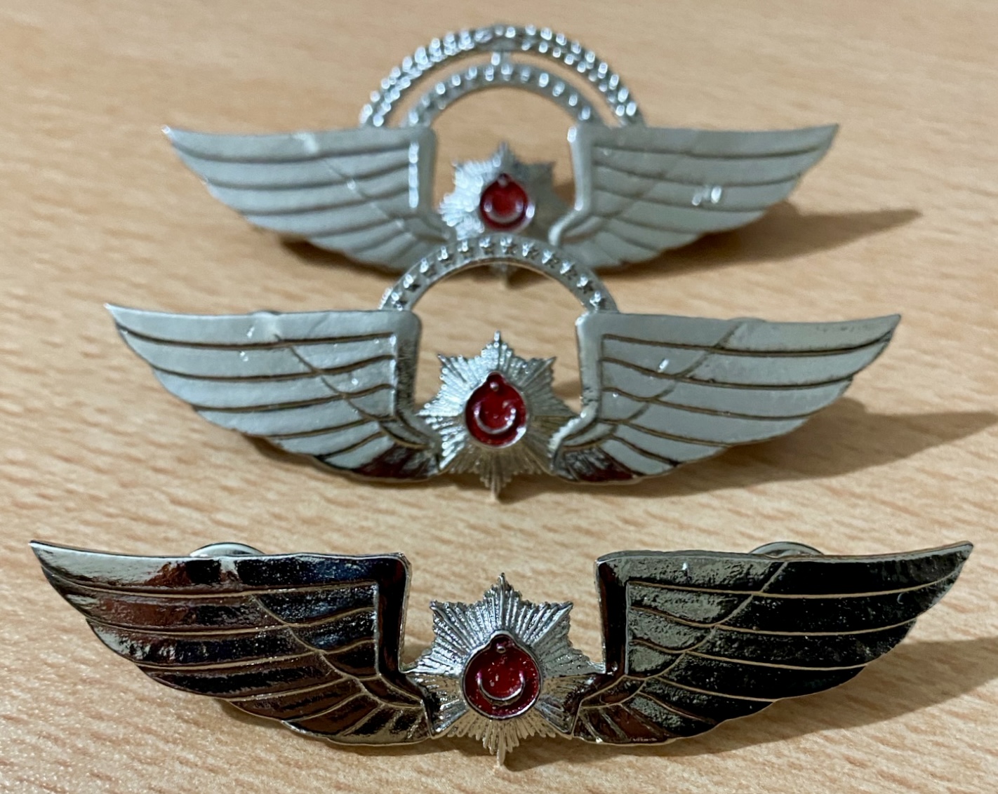Image of Police Pilot wing