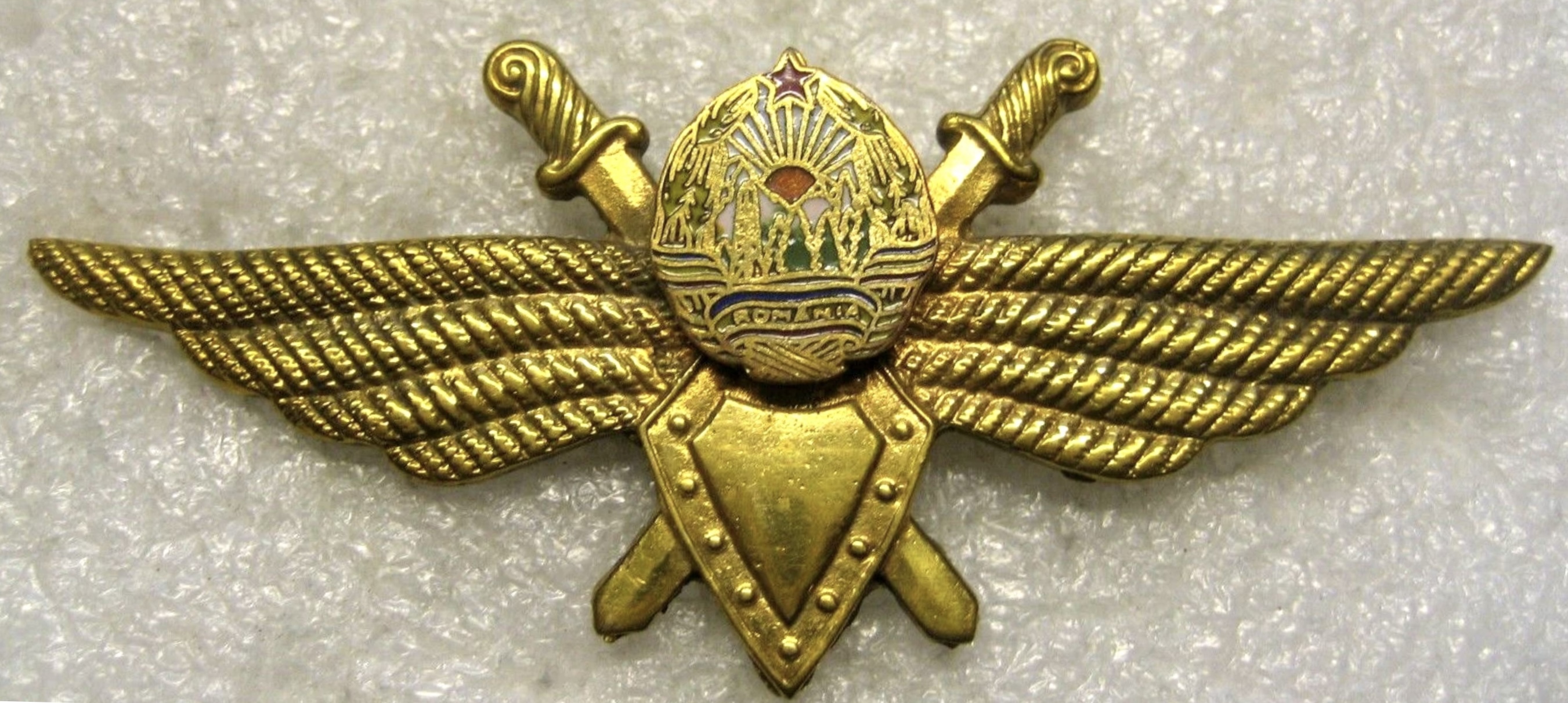 Image of Air Force Student Pilot wing