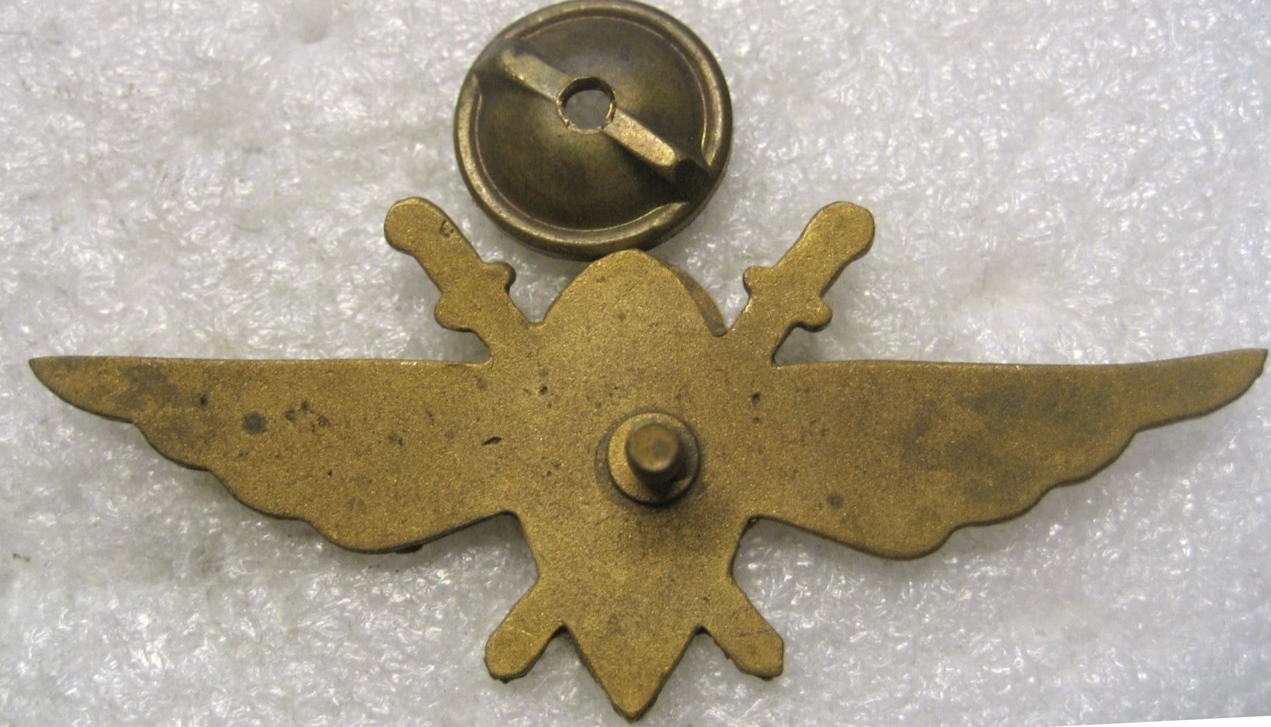 Image of Air Force Student Pilot wing