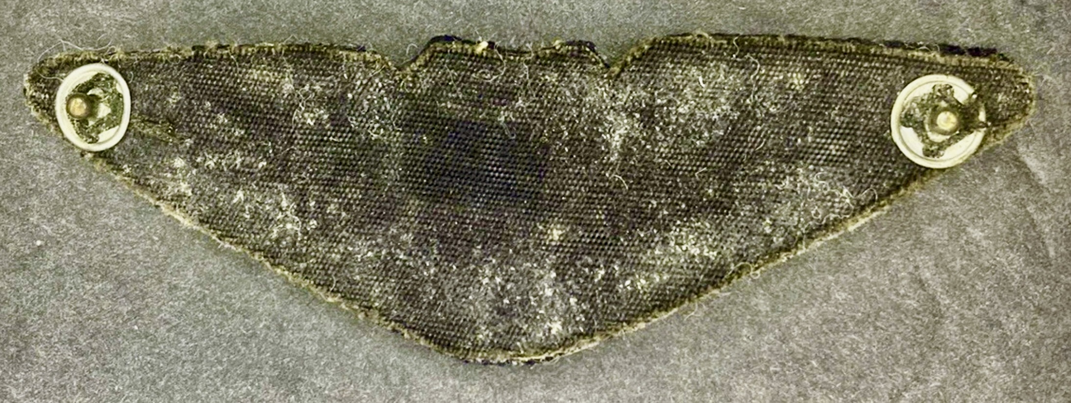 Image of Air Jordan Pilot wing