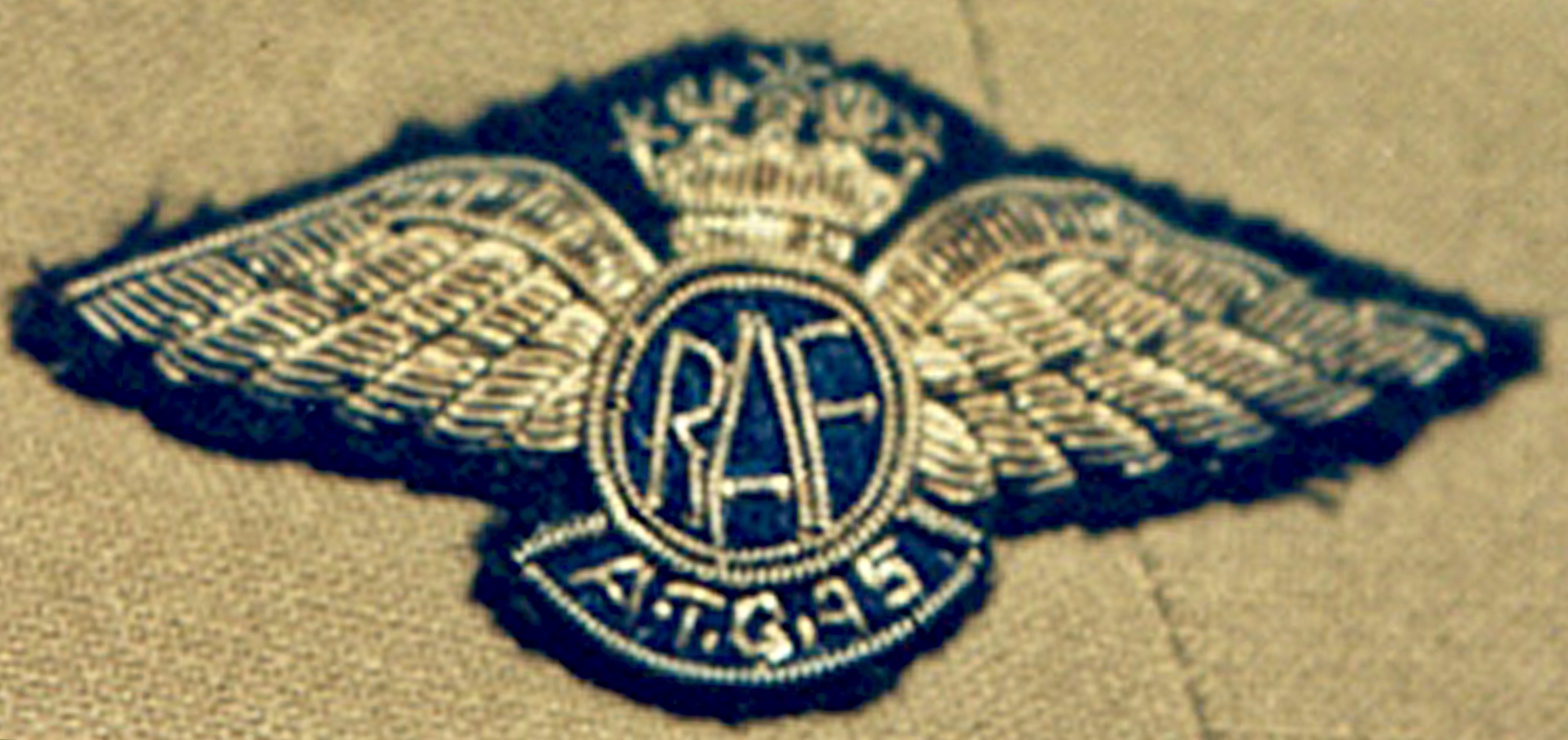 Image of Air Transport Group 45 Pilot wing