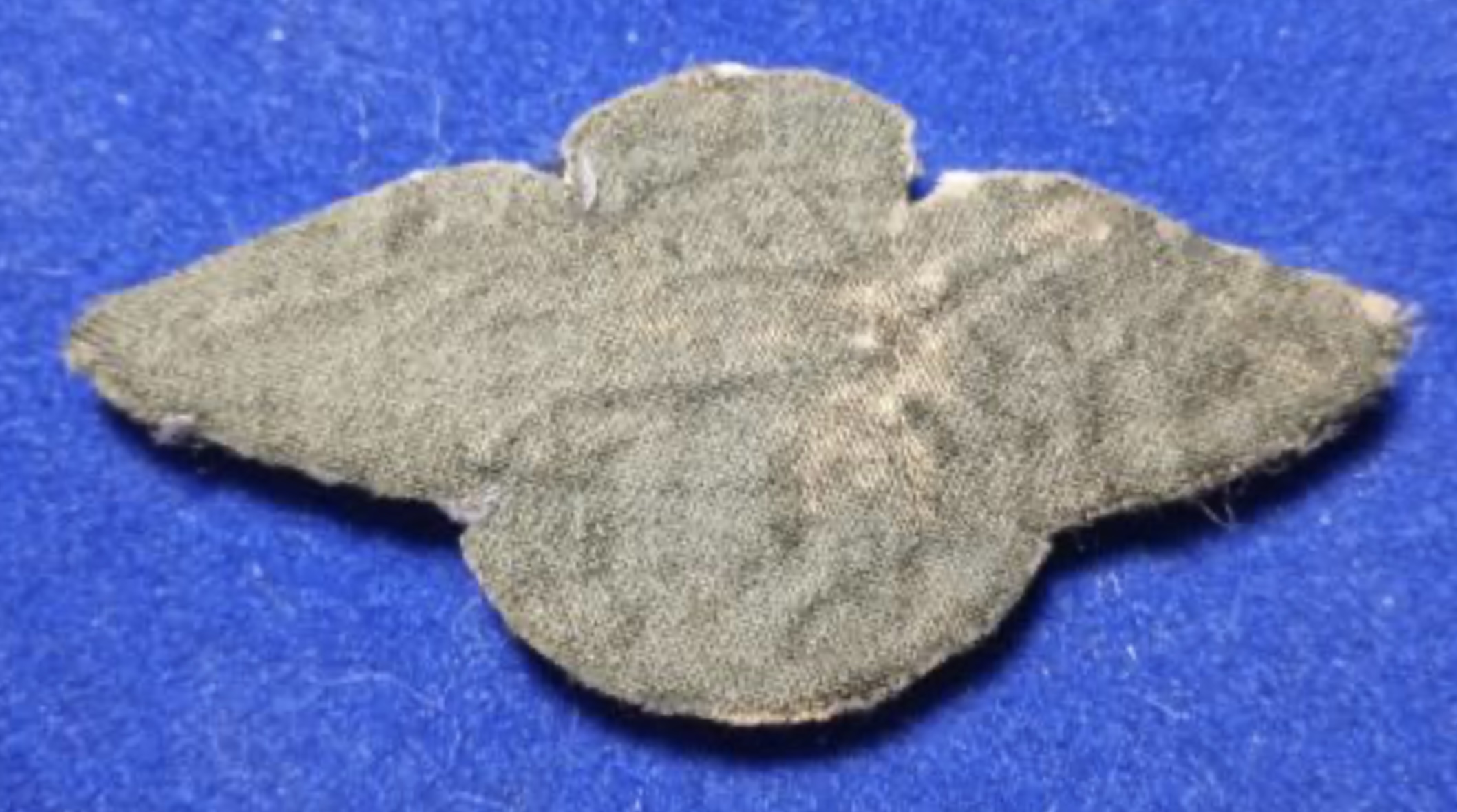 Image of Air Transport Group 45 Pilot wing