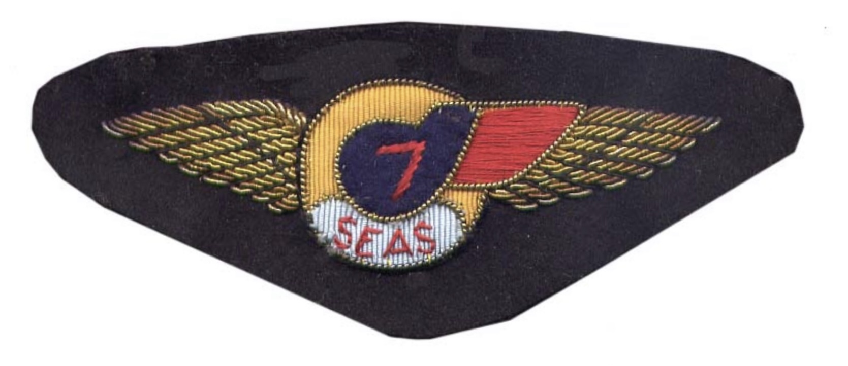 Seven (7) Seas Airlines Pilot