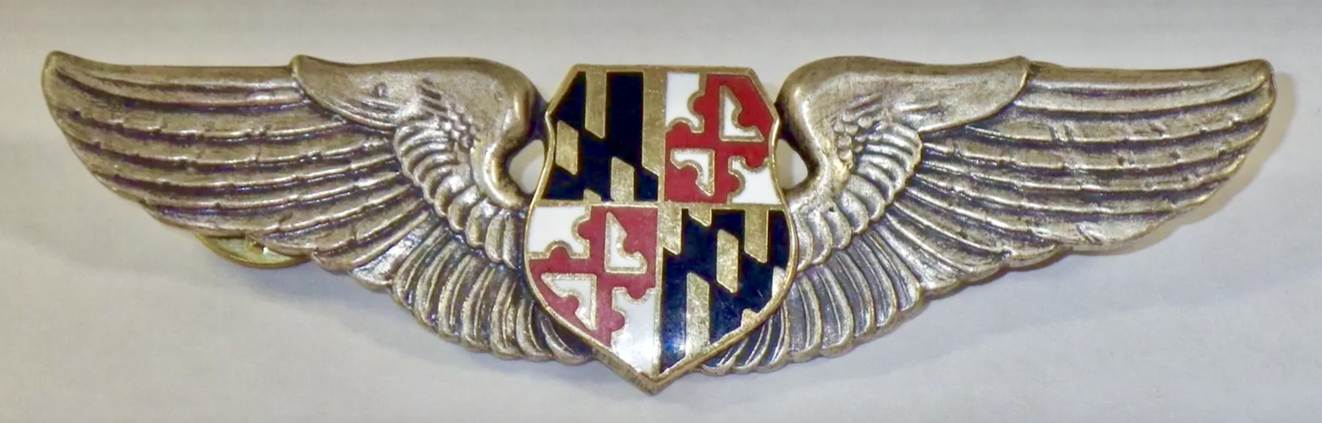 Maryland State Police Pilot