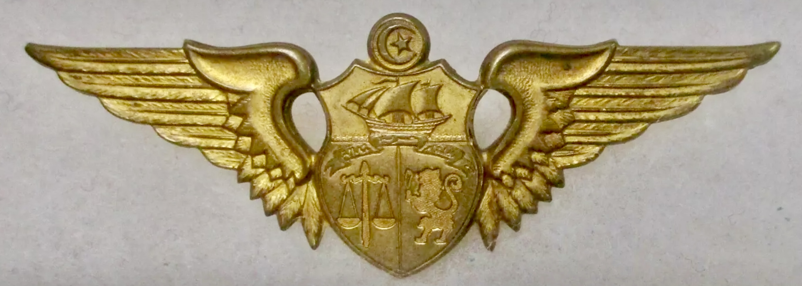 Tunisia Air Force Pilot (Hat Badge ?) Pilot