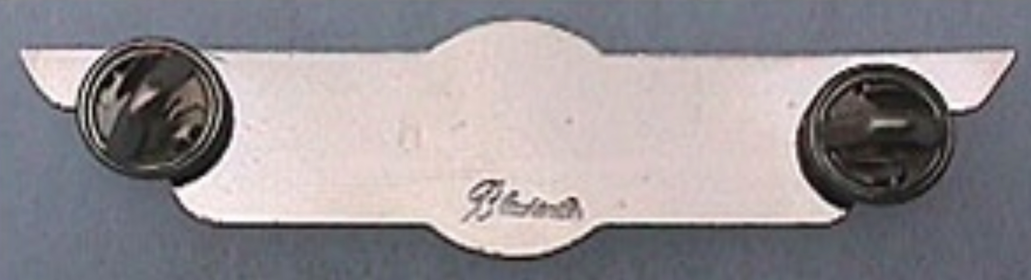 Image of Capitol Airways Pilot wing