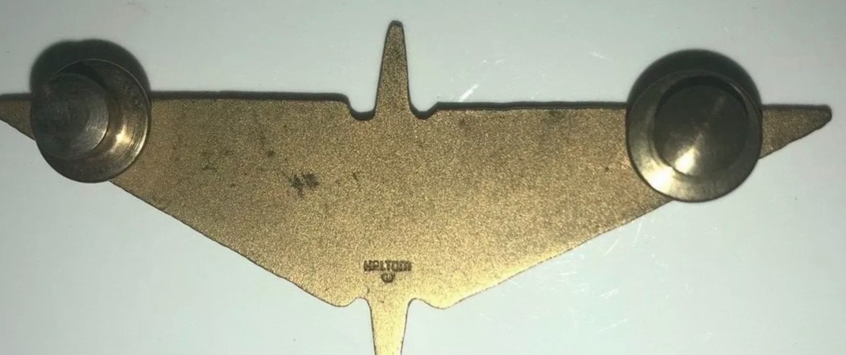 Image of Rio Airways Pilot wing