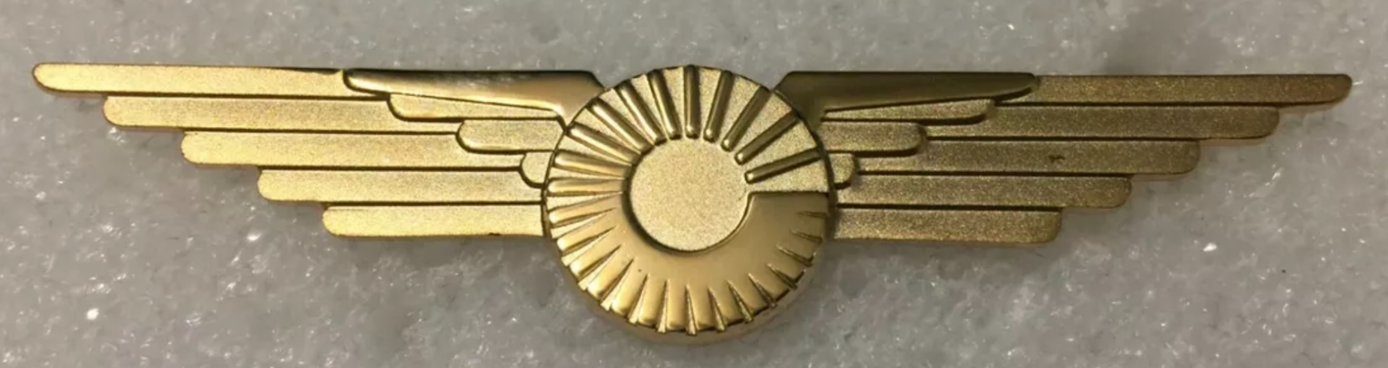 Transbrasil Airline Pilot