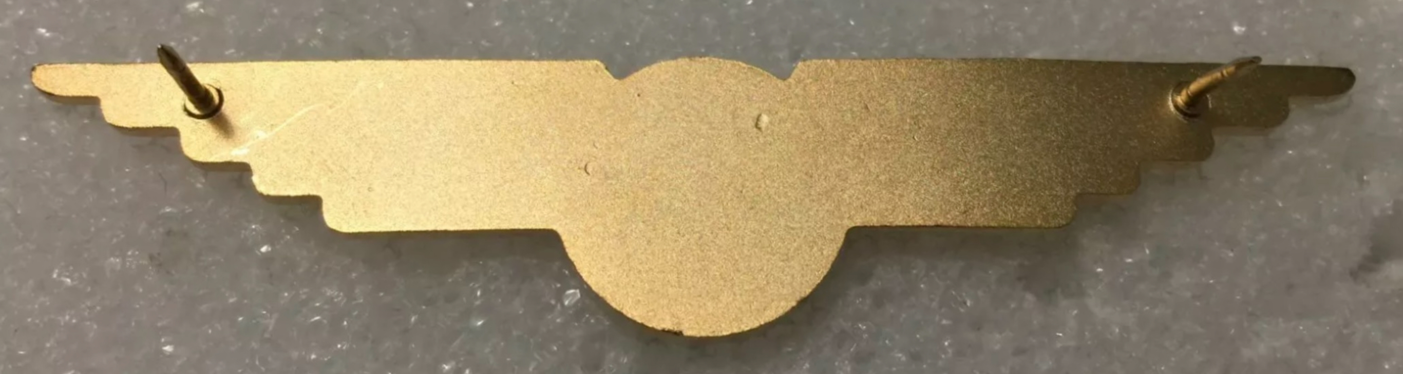 Image of Transbrasil Airline Pilot wing