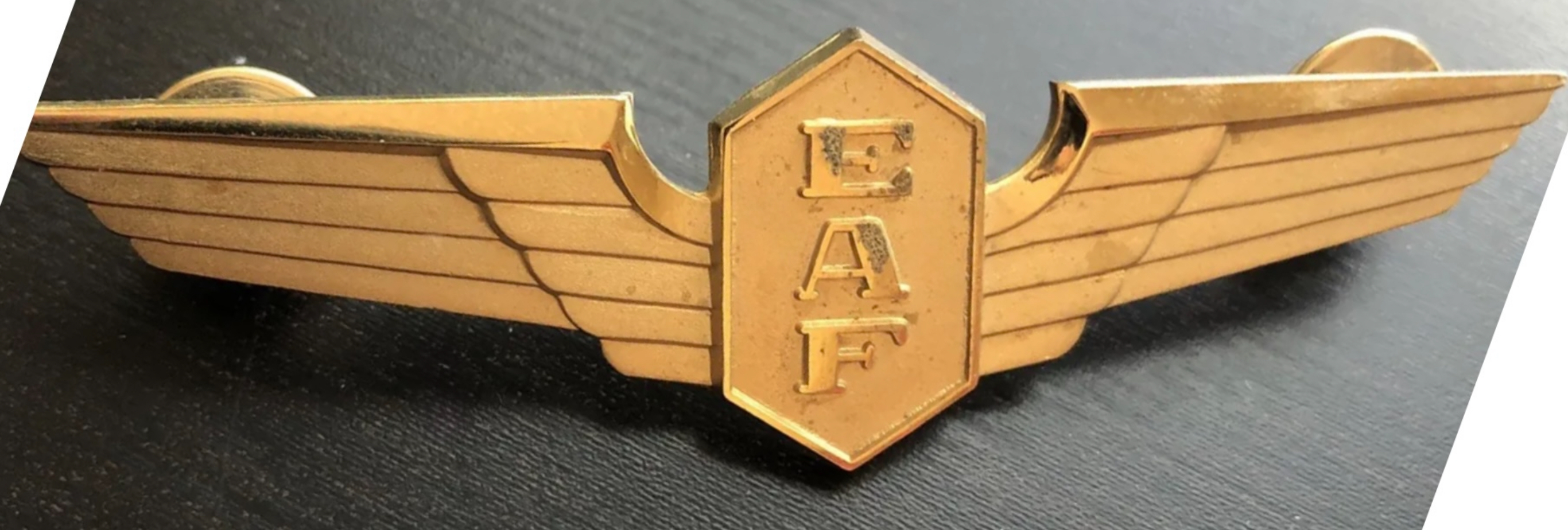 Executive Air Fleet (EAF) Pilot