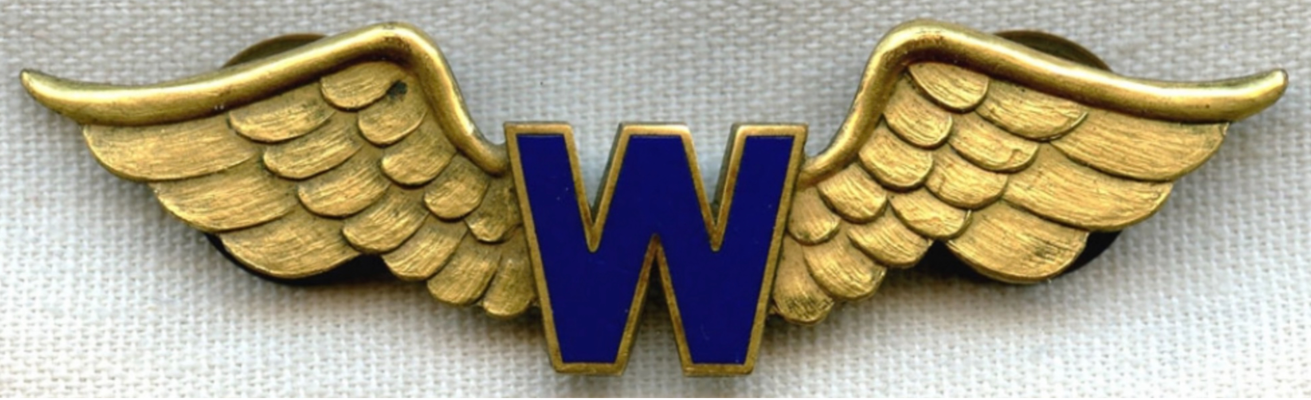 Wilmington Catalina Airlines Pilot