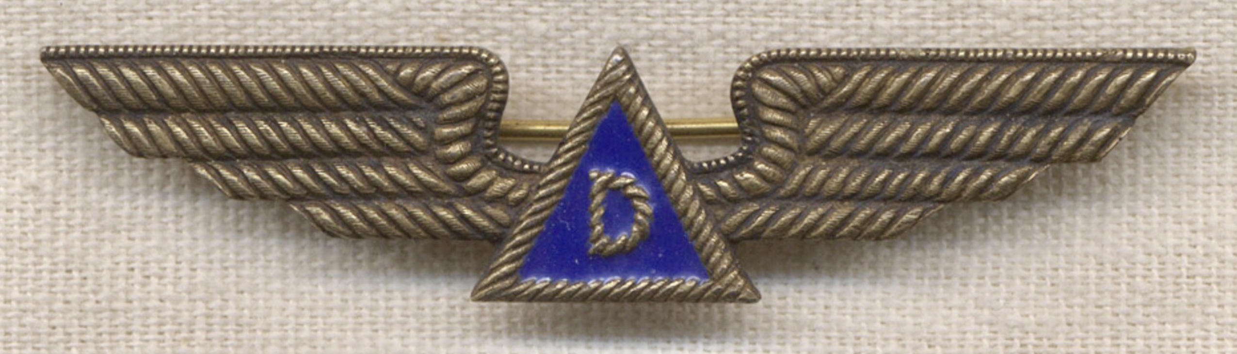 Delta Air Lines Pilot