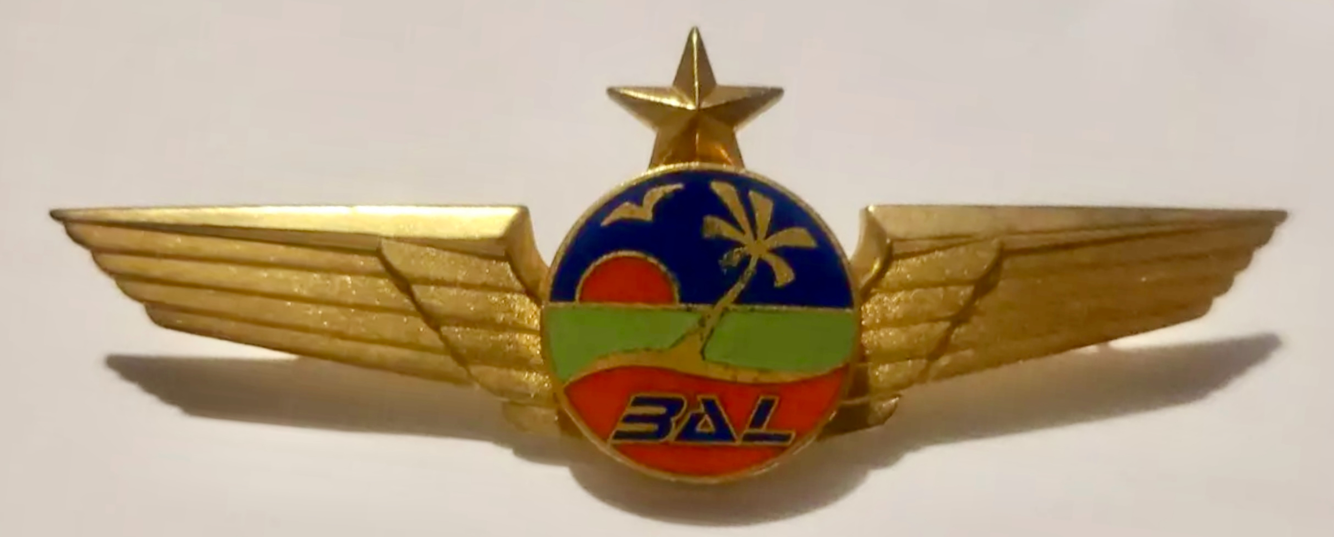 Belize Airways Limited (BAL) First Officer