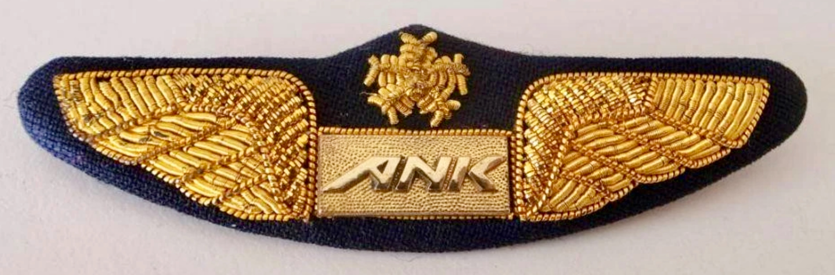 Air Nippon (ANK) Pilot