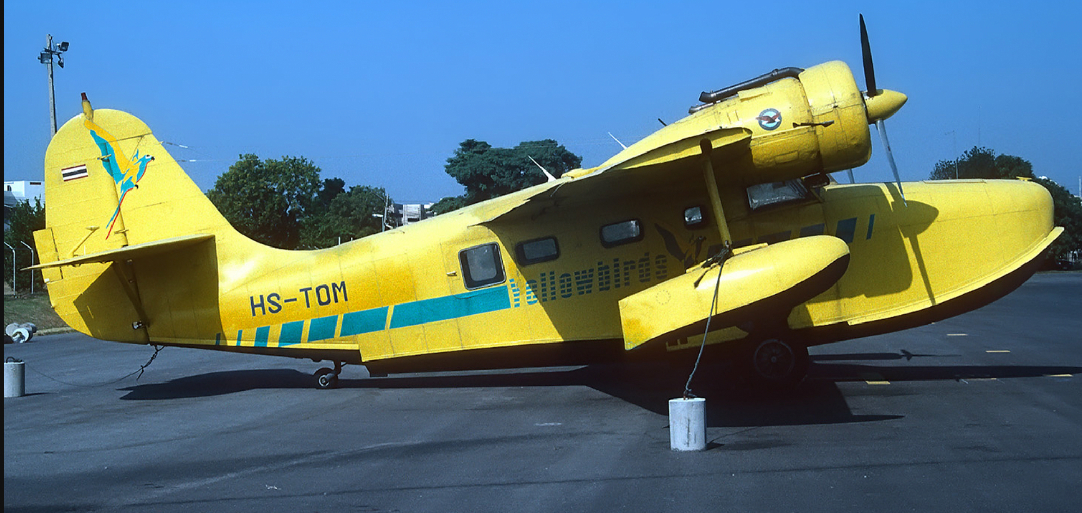 Image of Tropical Sea Airlines (TSA) Captain wing