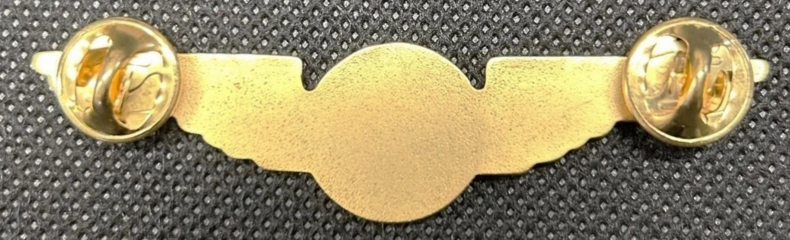 Image of Liat Pilot wing