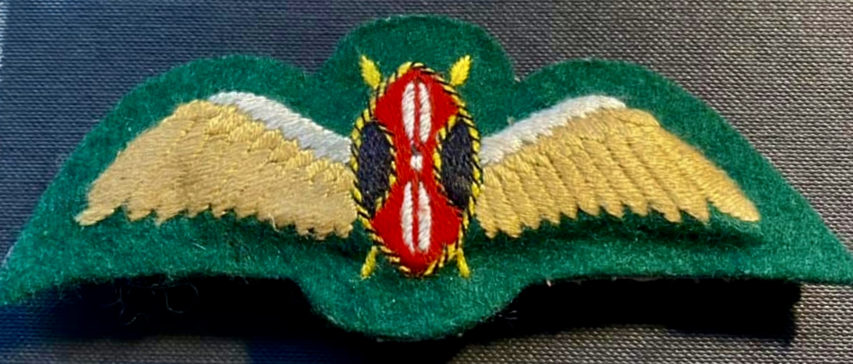 Air Force Pilot