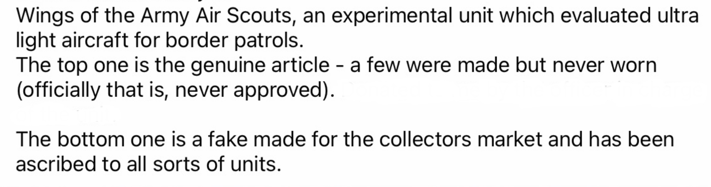 Image of Army Air Scouts Pilot wing