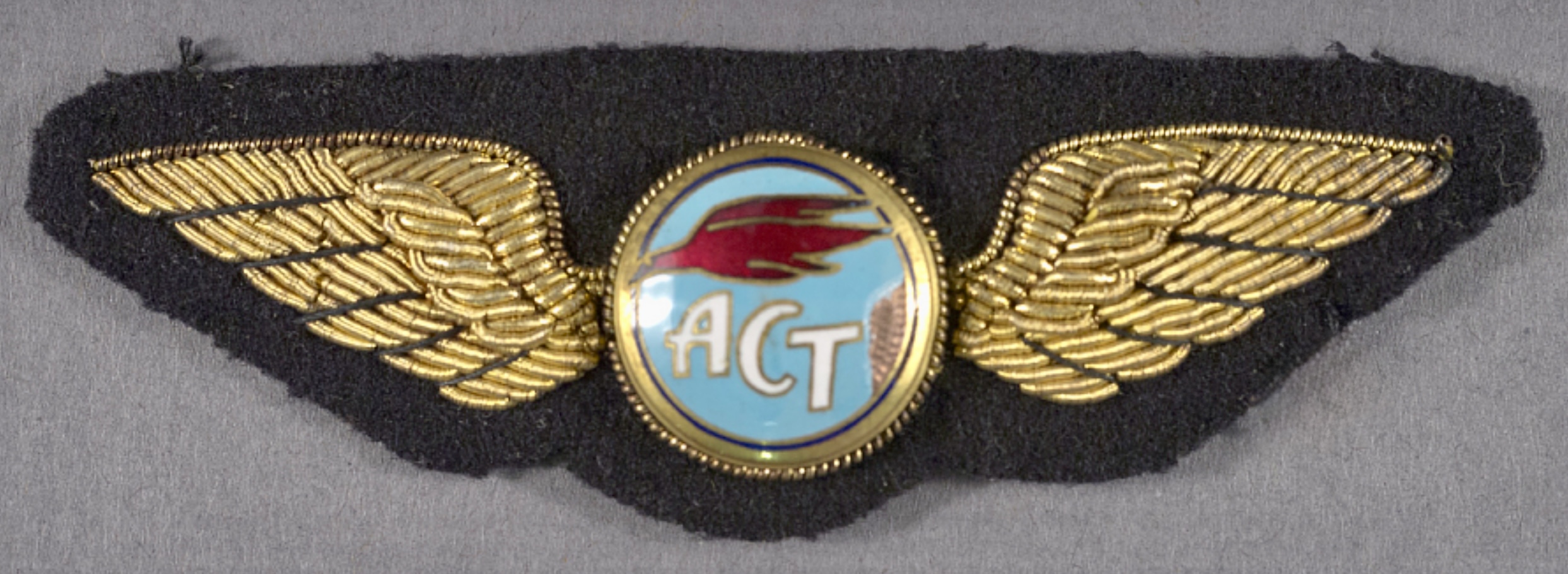 Air Cargo Transport (ACT) Pilot