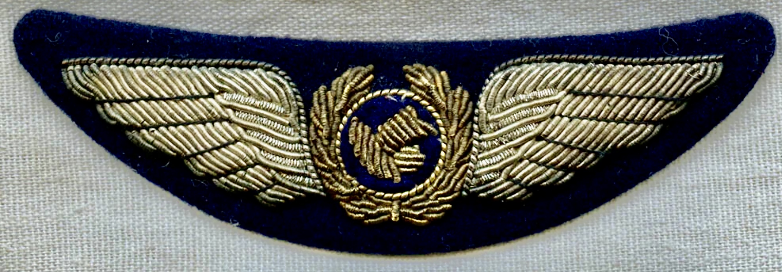 Japanese Domestic Airlines (JDA) Pilot