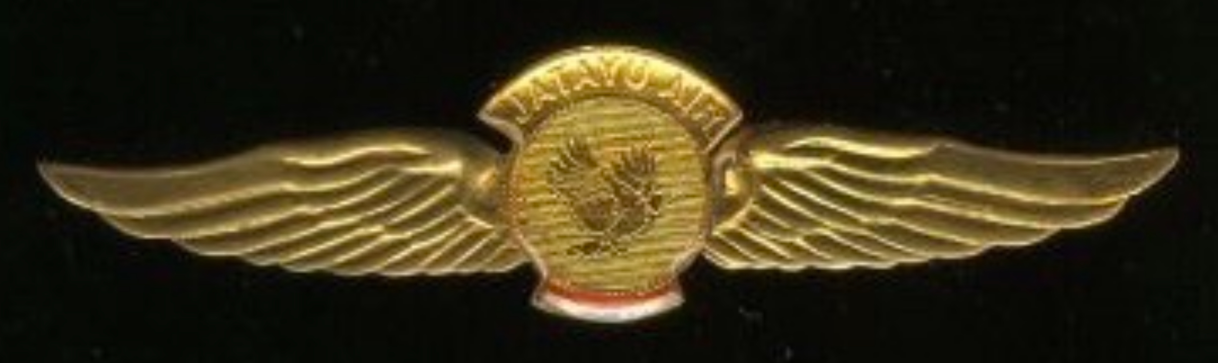 Jatayu Airlines Pilot