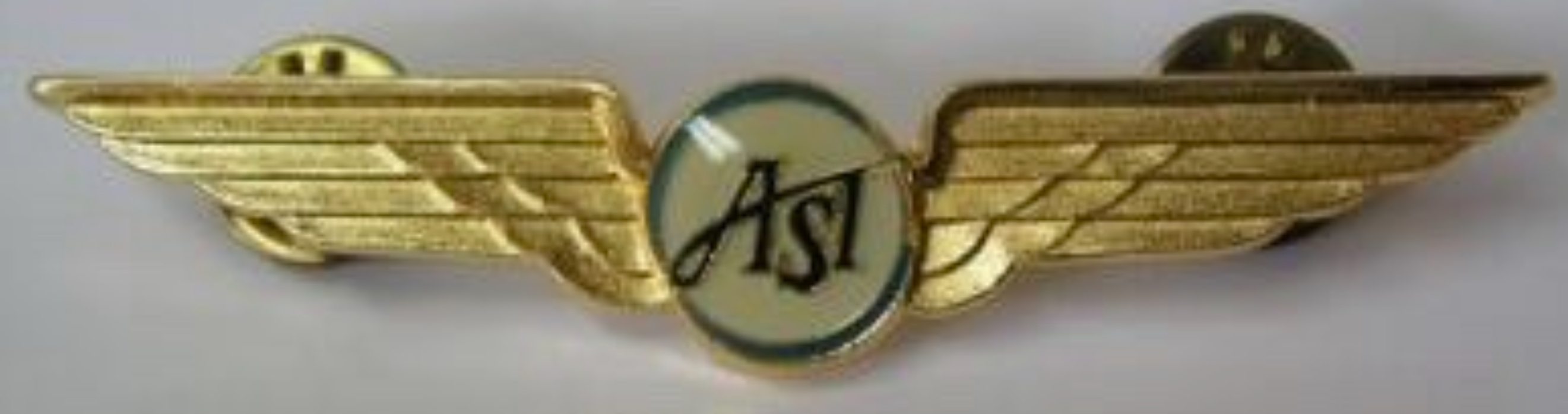 Air St. Thomas Pilot