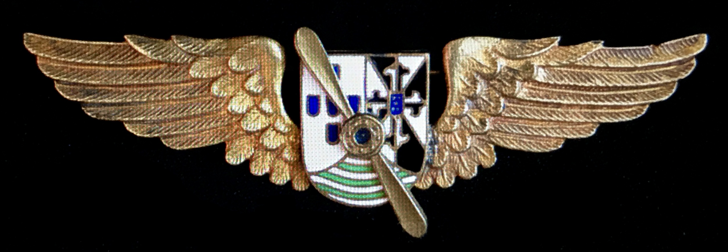 Transportes Aéreos de Timor (TAT) Pilot