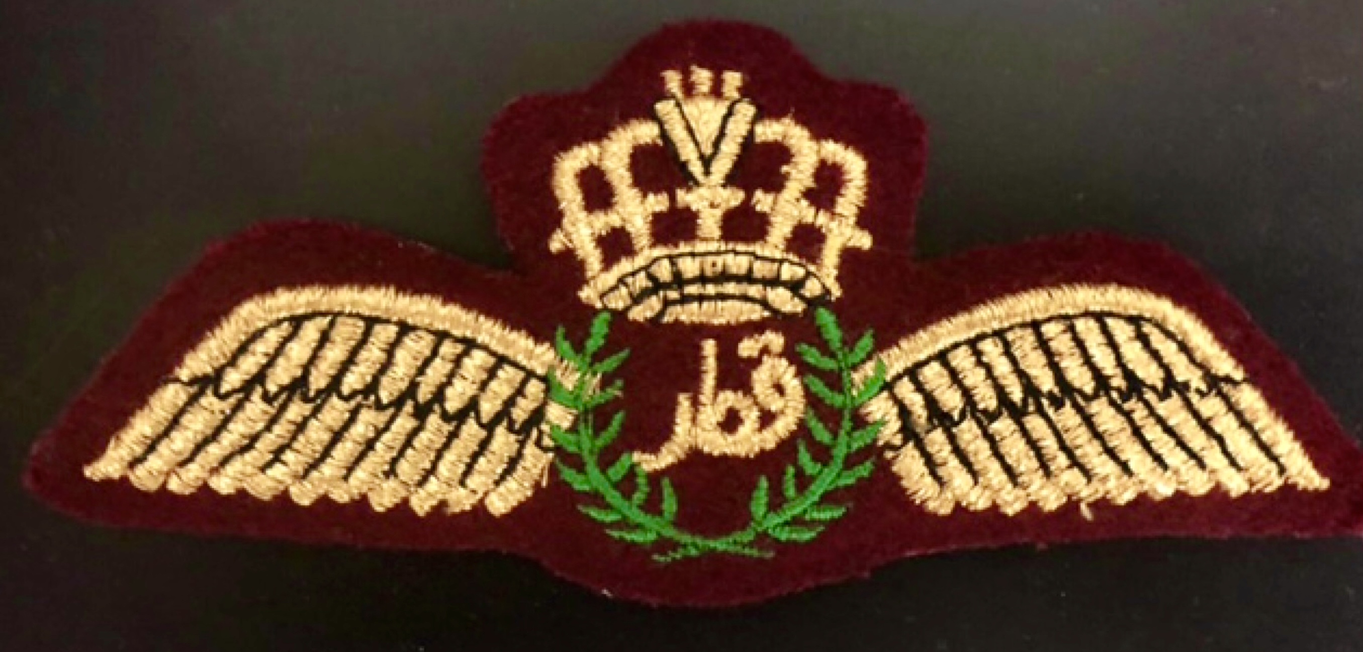 Air Force Pilot