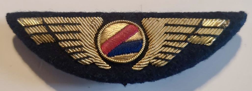 Air France Hop Pilot