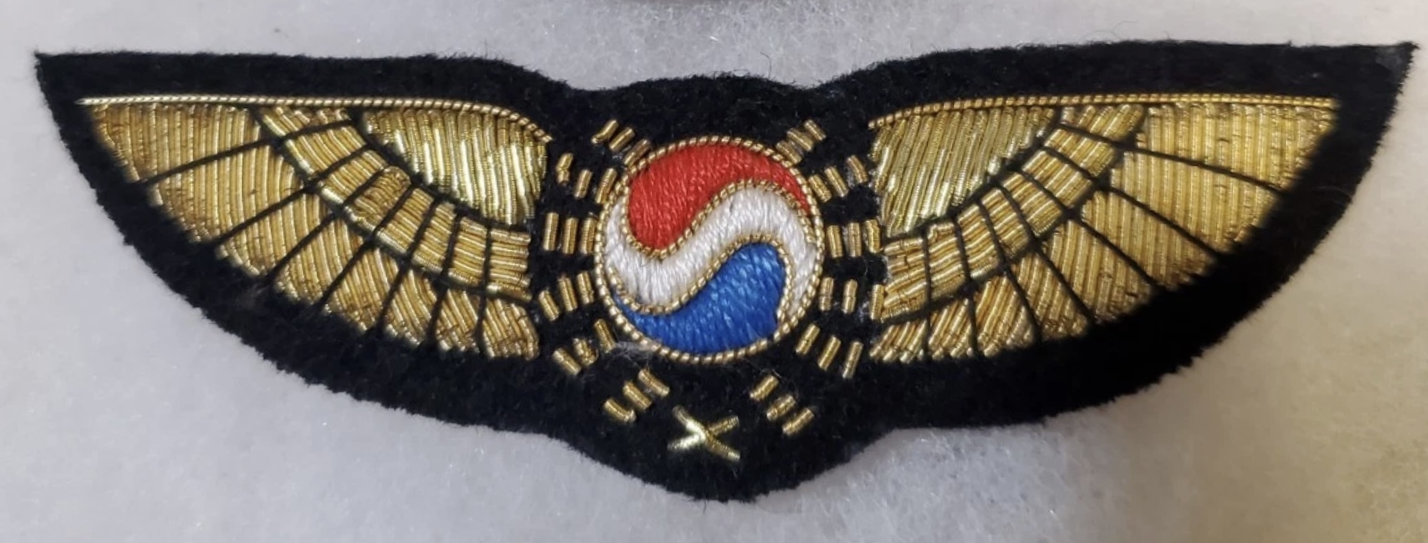 Korean Air Lines Pilot