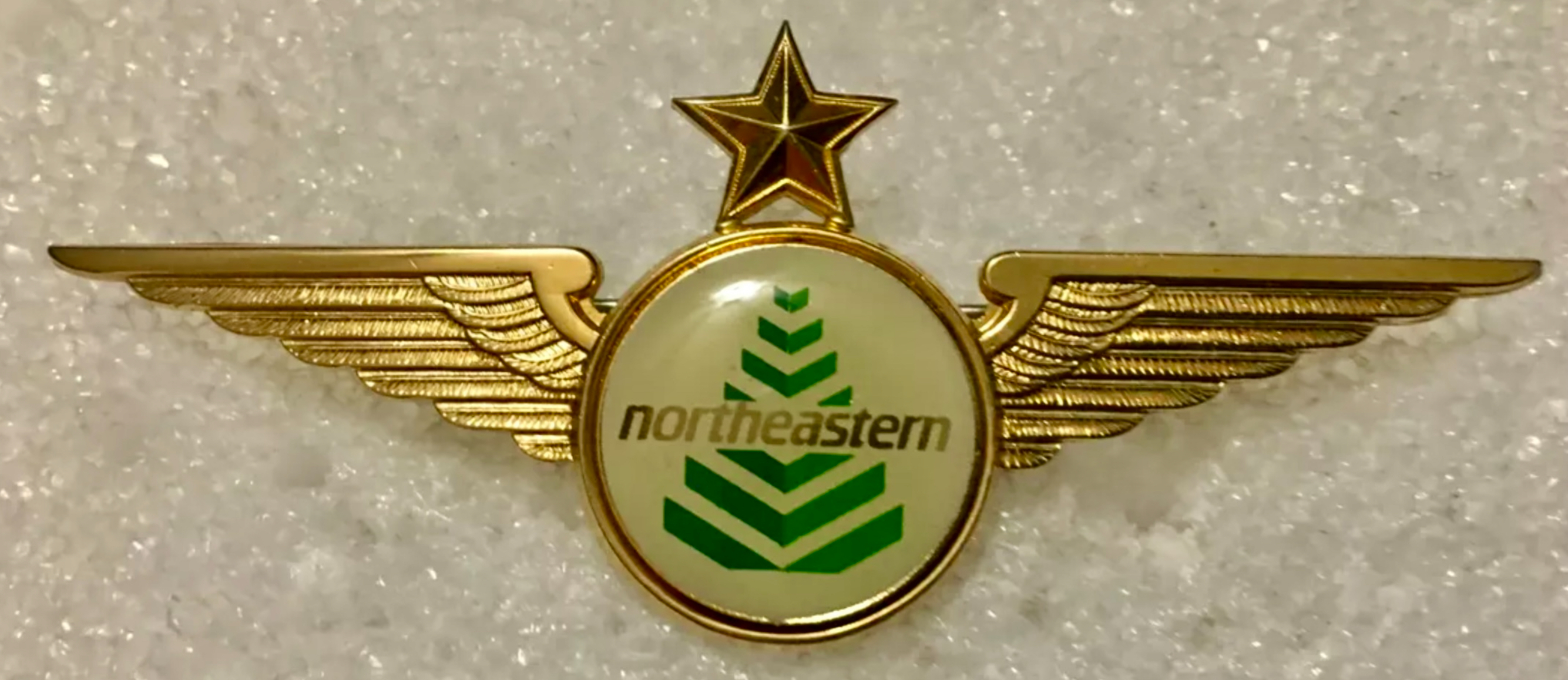 Northeastern Airlines Captain