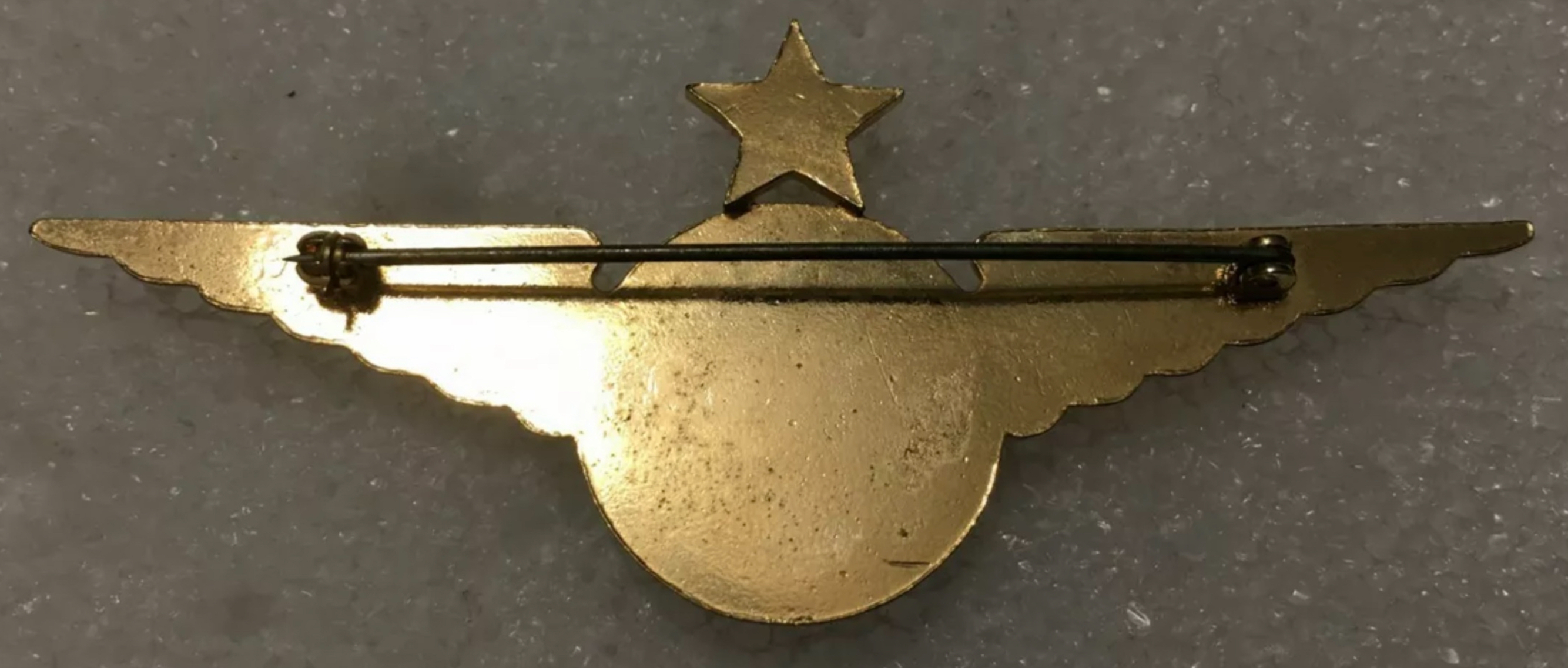 Image of Northeastern Airlines Captain wing