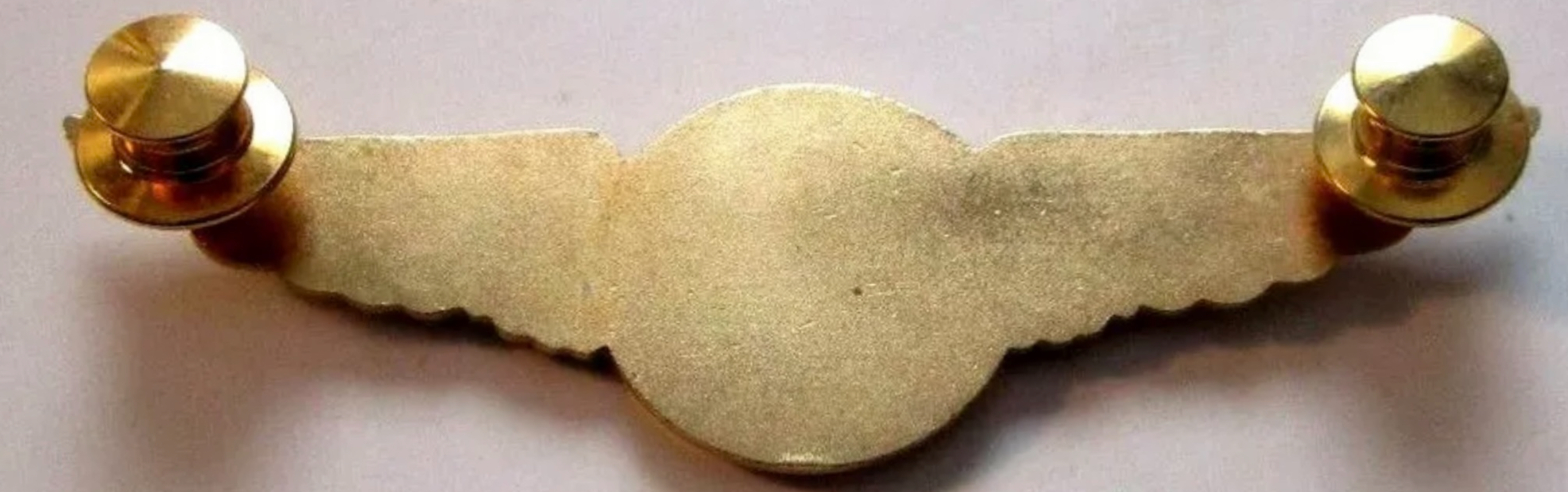Image of Executive Airlines Pilot wing