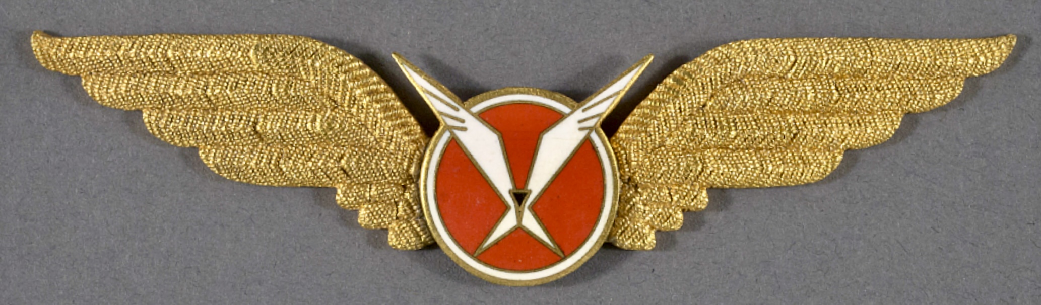 Wing Grønlandsfly (Groenlandsfly) (Greenlandair) (Air Greenland) Pilot
