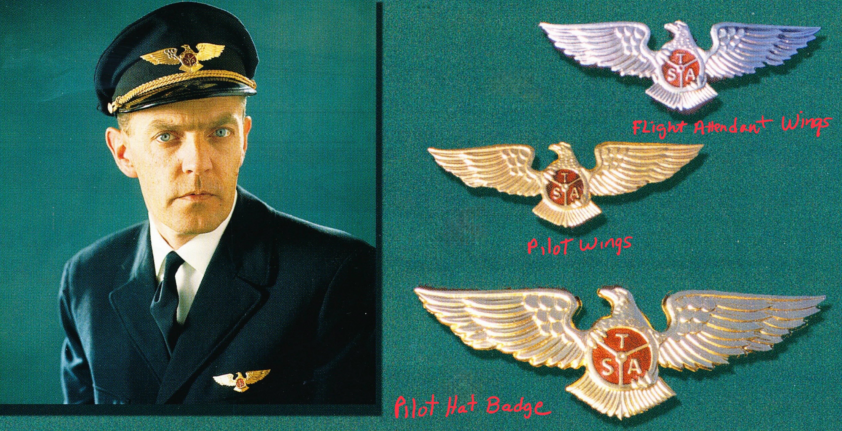 Image of Transair Sweden AB (TSA) Pilot wing