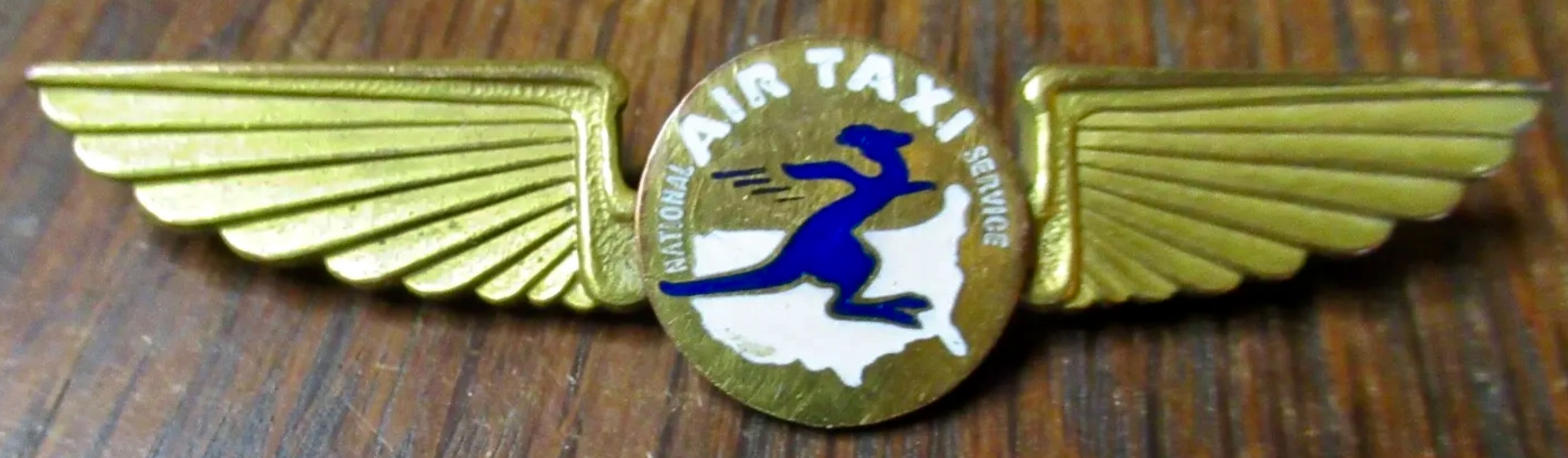 National Air Taxi Service Pilot