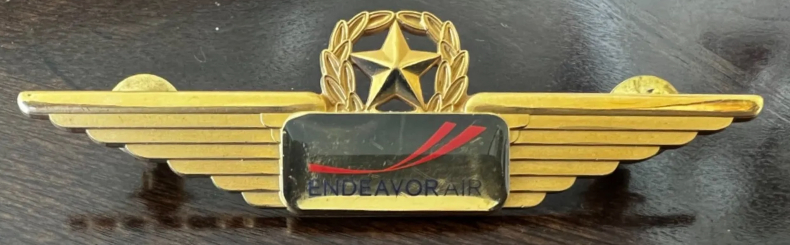 Endeavor Air Captain