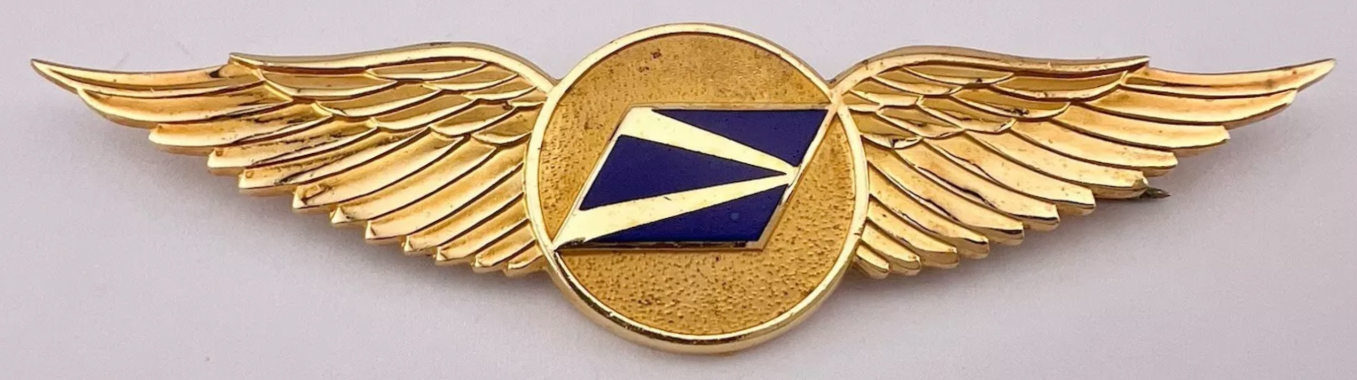 Image of Trans Caribbean Airways (TCA) Pilot wing