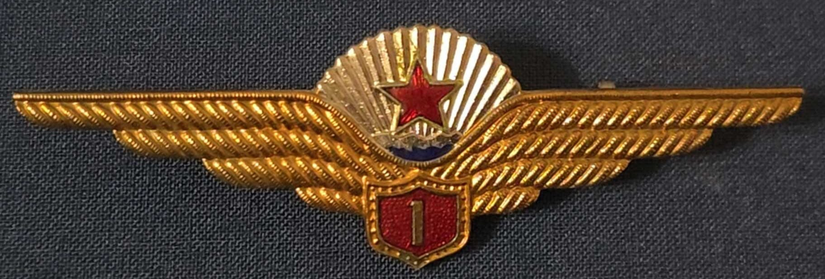 North Korea - Korea People’s Army Air Force Pilot Class 1