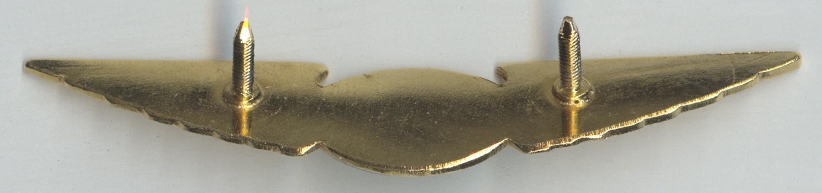 Image of Aerostar Airlines Pilot wing