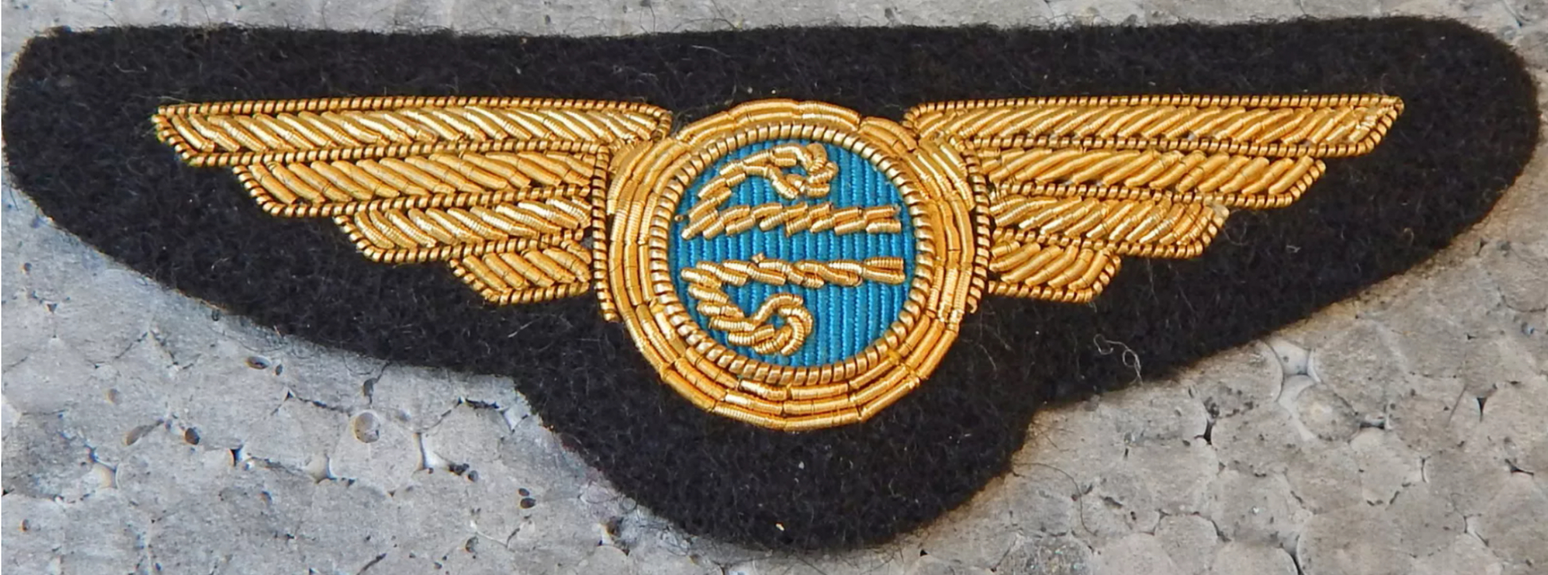 Air New Zealand Pilot