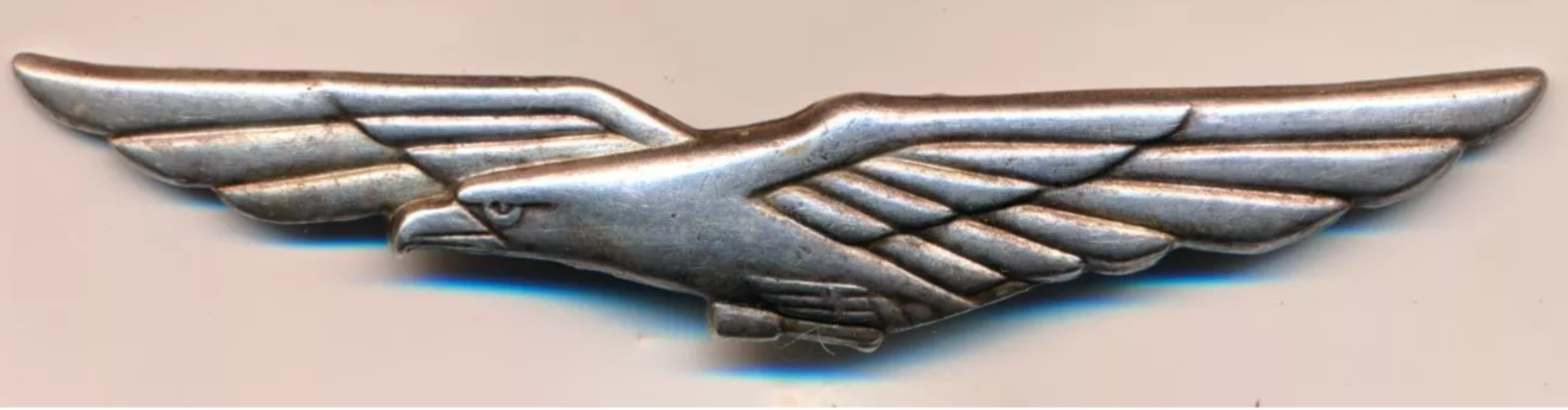 Scanair Pilot Prototype Badge