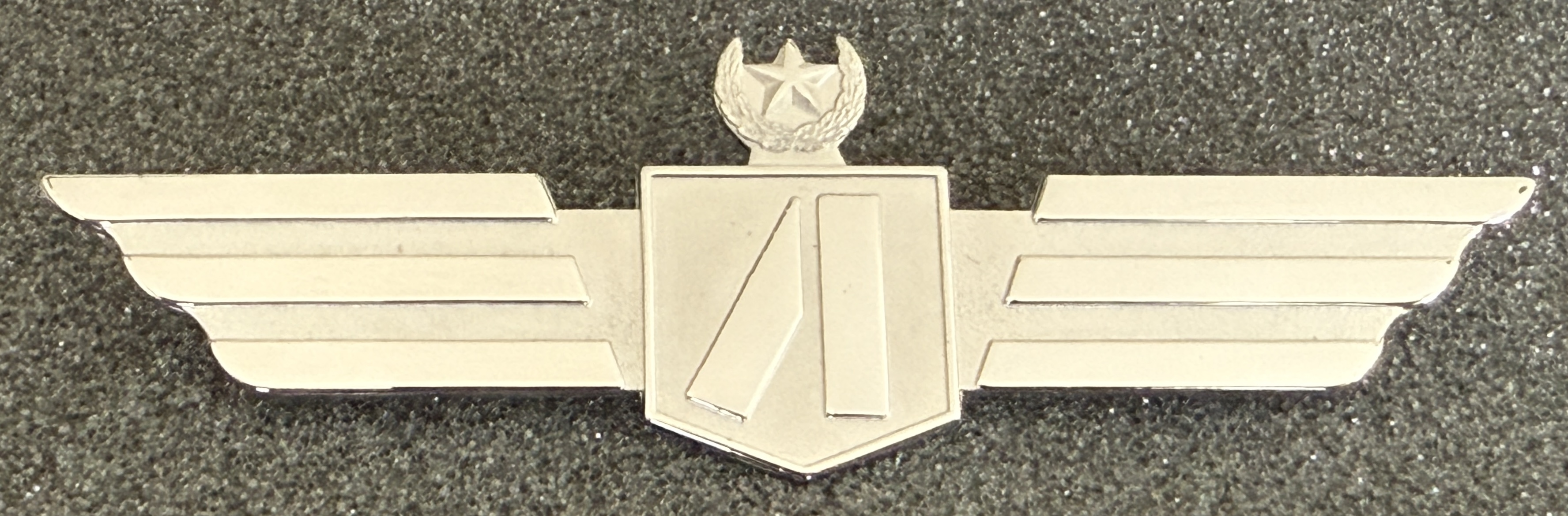 Image of Airborne Express Captain wing