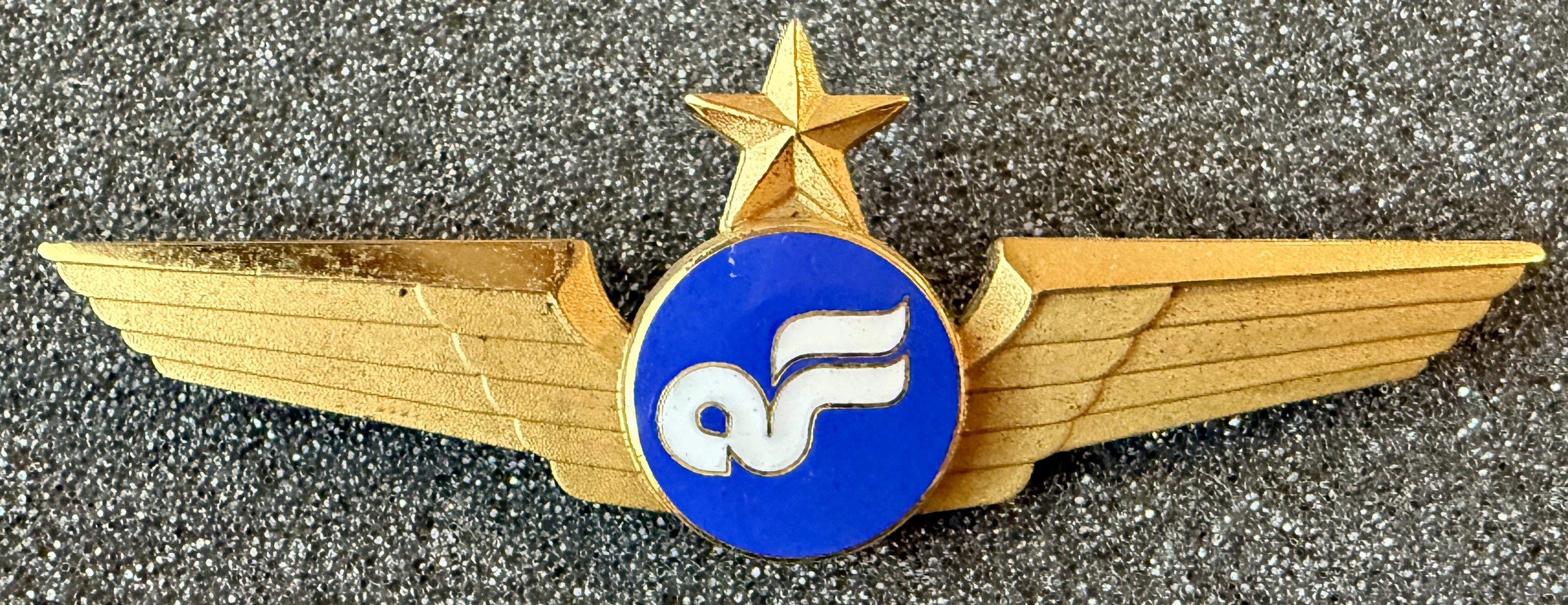 Air Florida First Officer