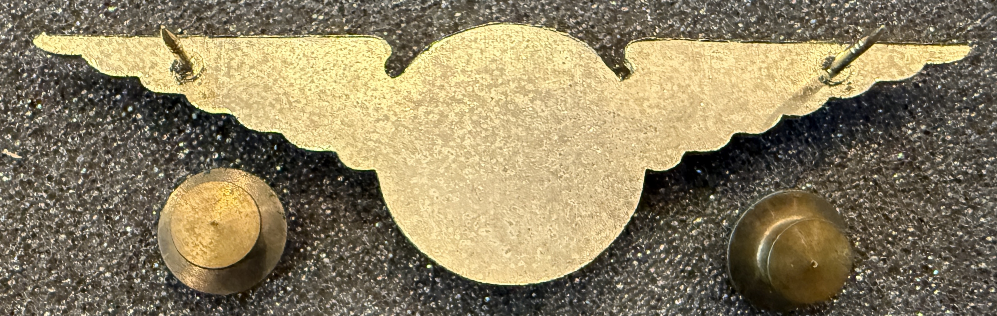 Image of Air Miami (AM) First Officer wing