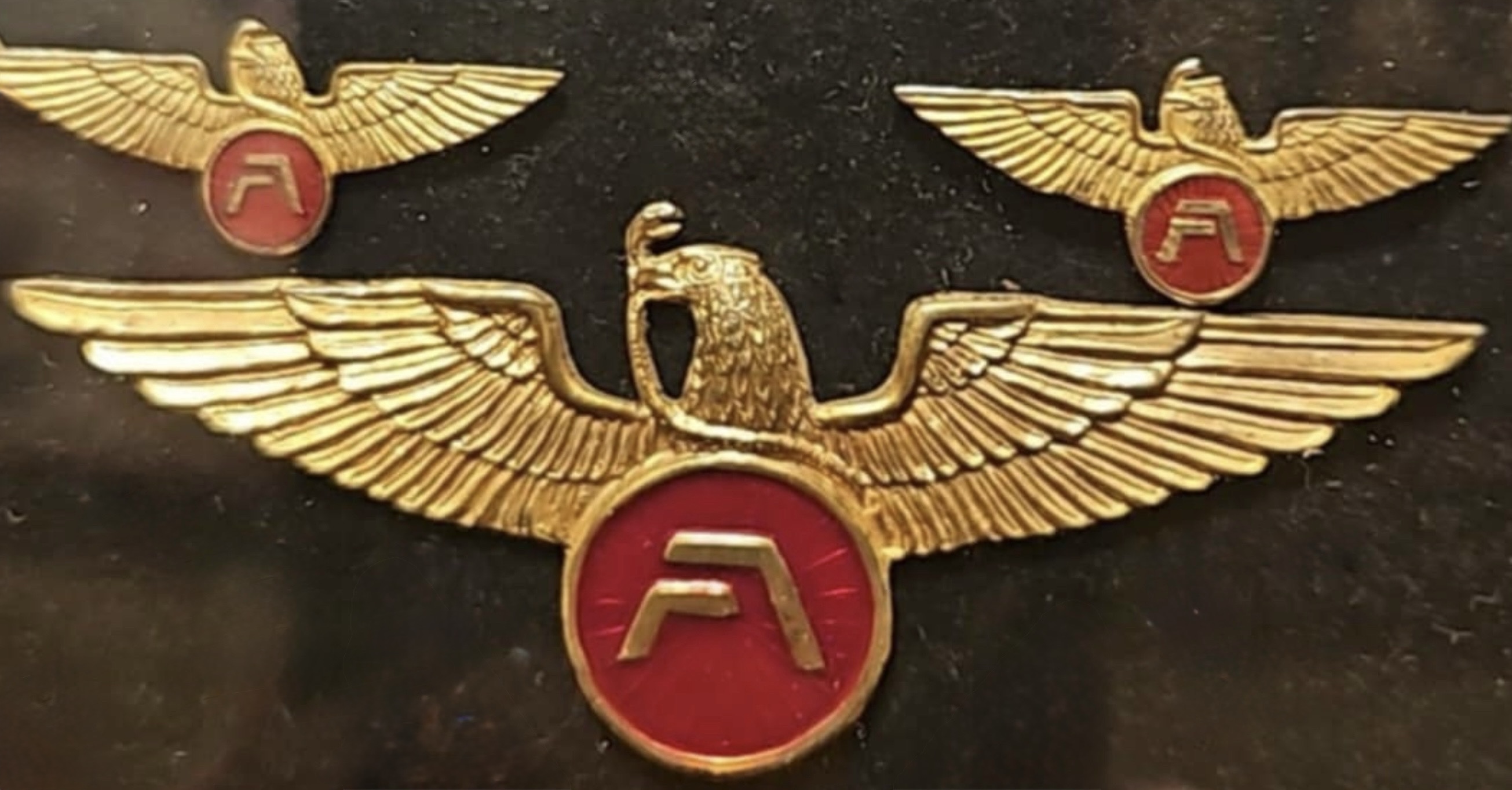 Image of Panamericana de Aviacion Pilot wing