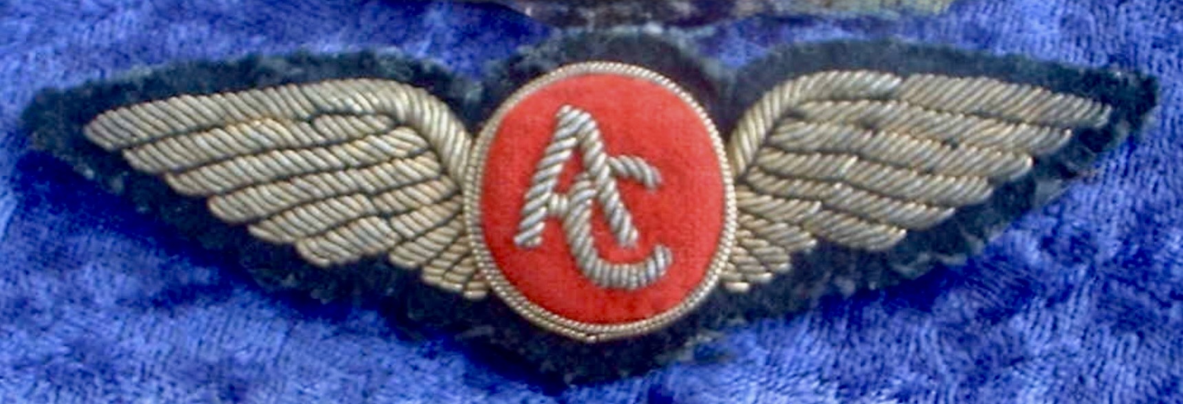 Air Charter (AC) Pilot