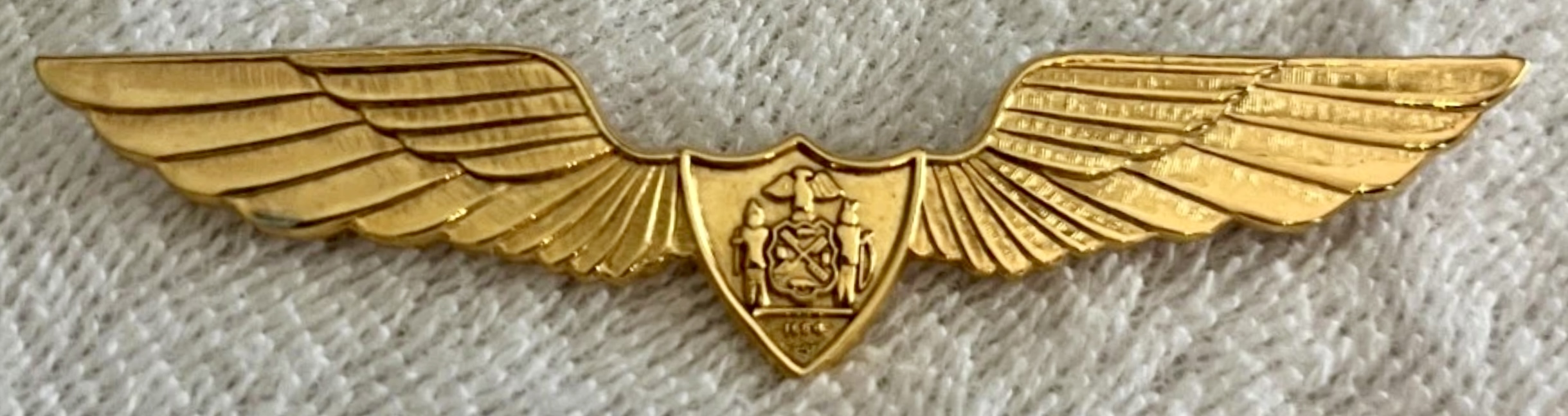 New York City Police Department (NYPD) Pilot