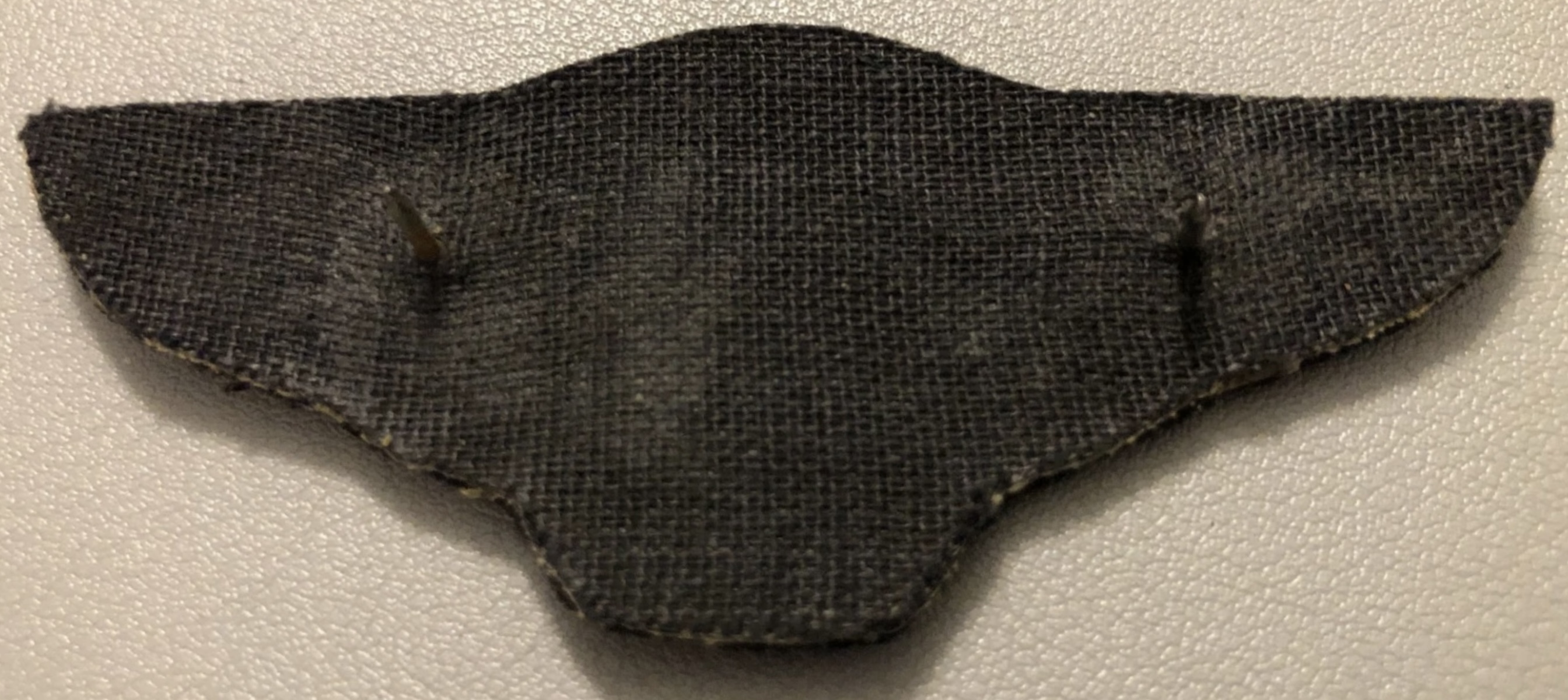 Image of Regent Air (Regentair) Pilot wing